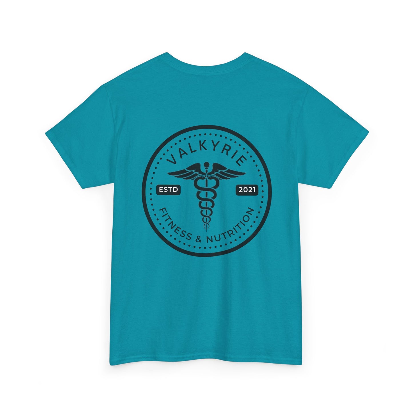 Healthcare Valkyrie Shirt