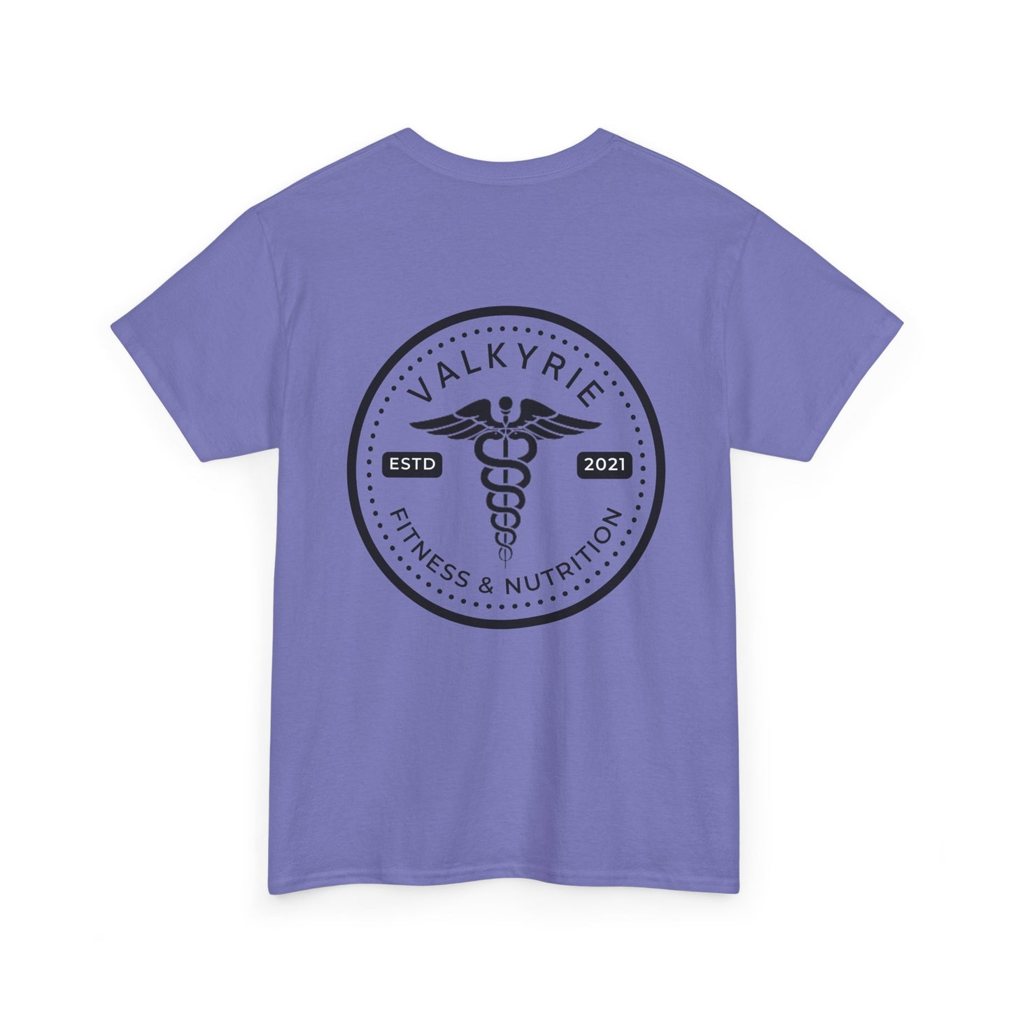 Healthcare Valkyrie Shirt