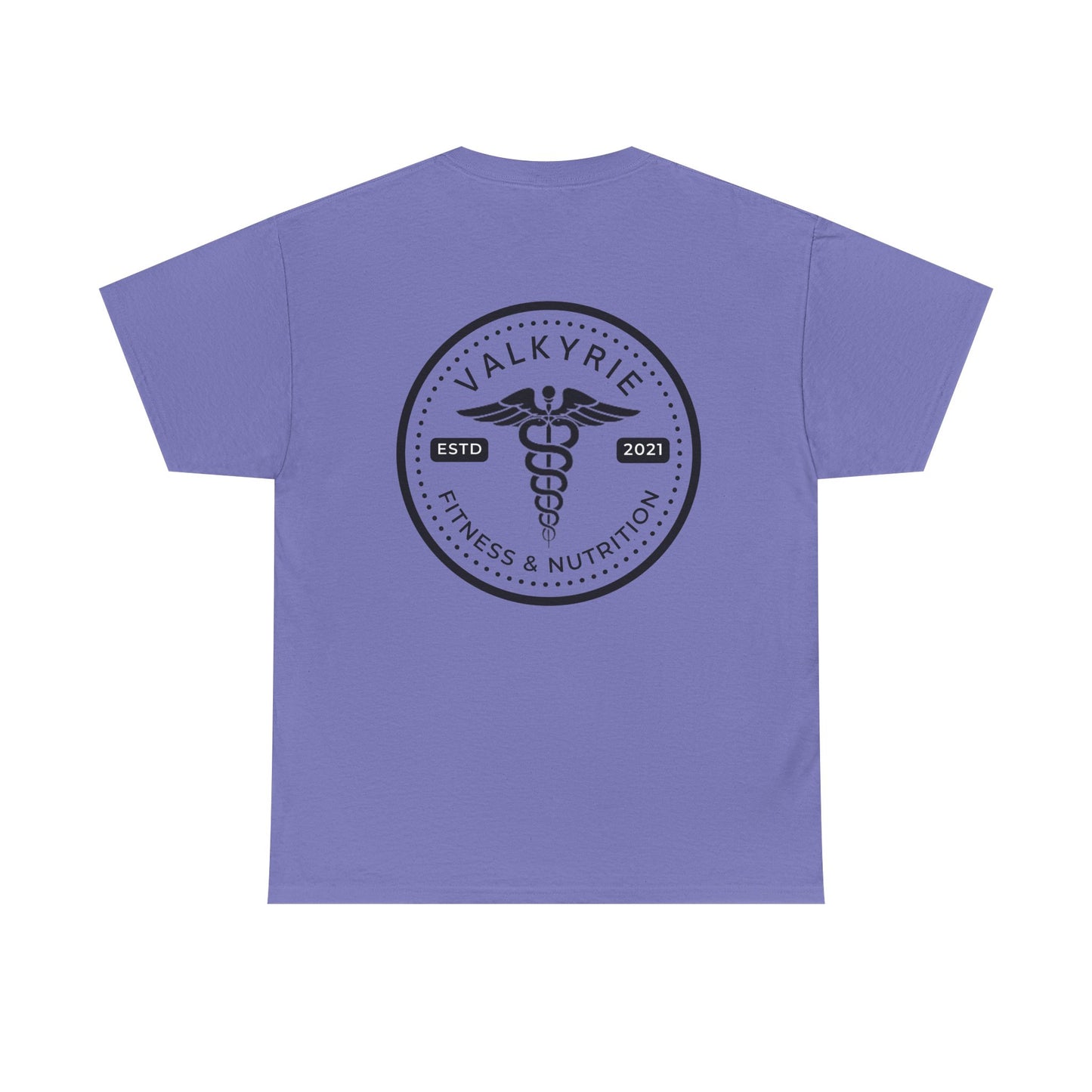 Healthcare Valkyrie Shirt